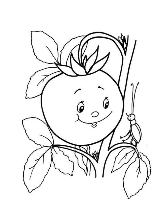 Rajče Obrázek omalovánka