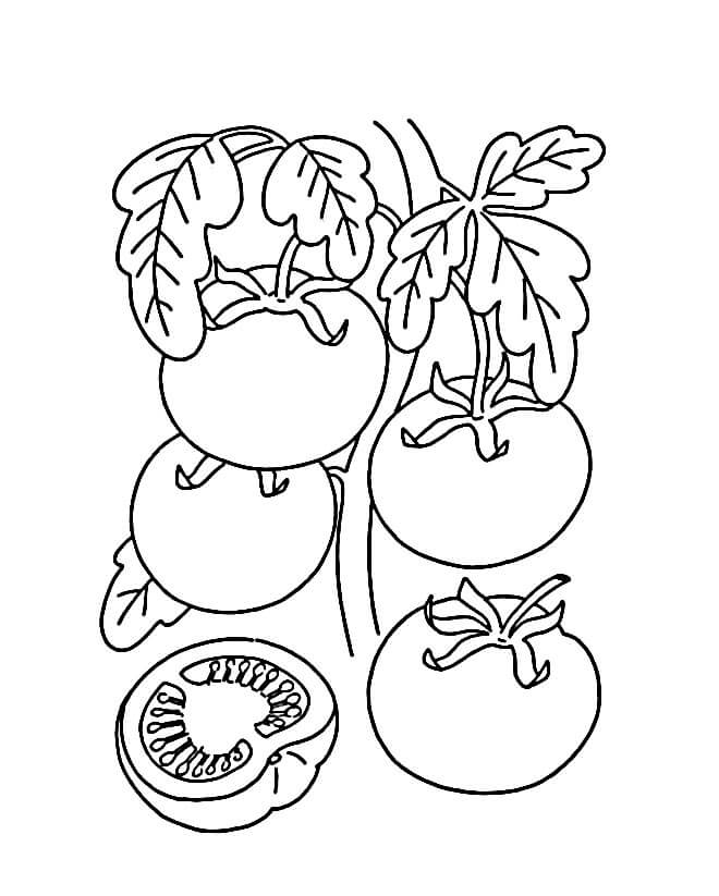 Rajče Vymalovatelné pro Děti omalovánka