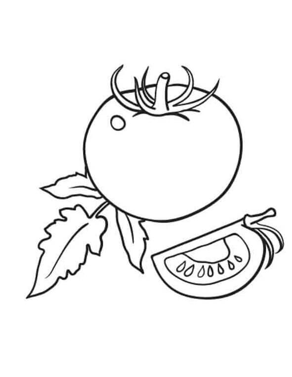 Rajče Zdarma pro Děti omalovánka