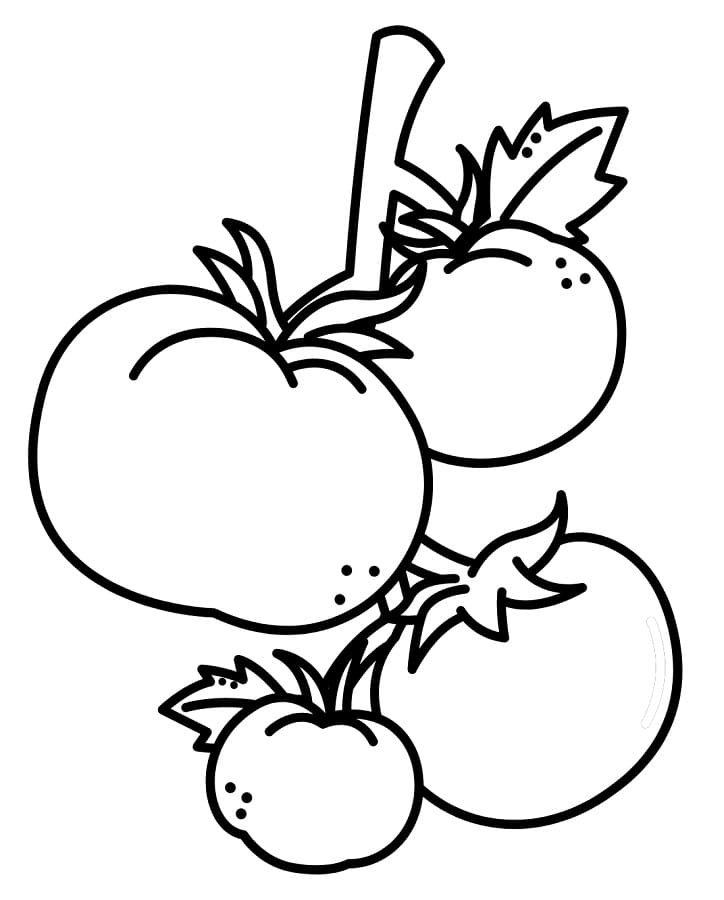 Rajče k Vymalování omalovánka