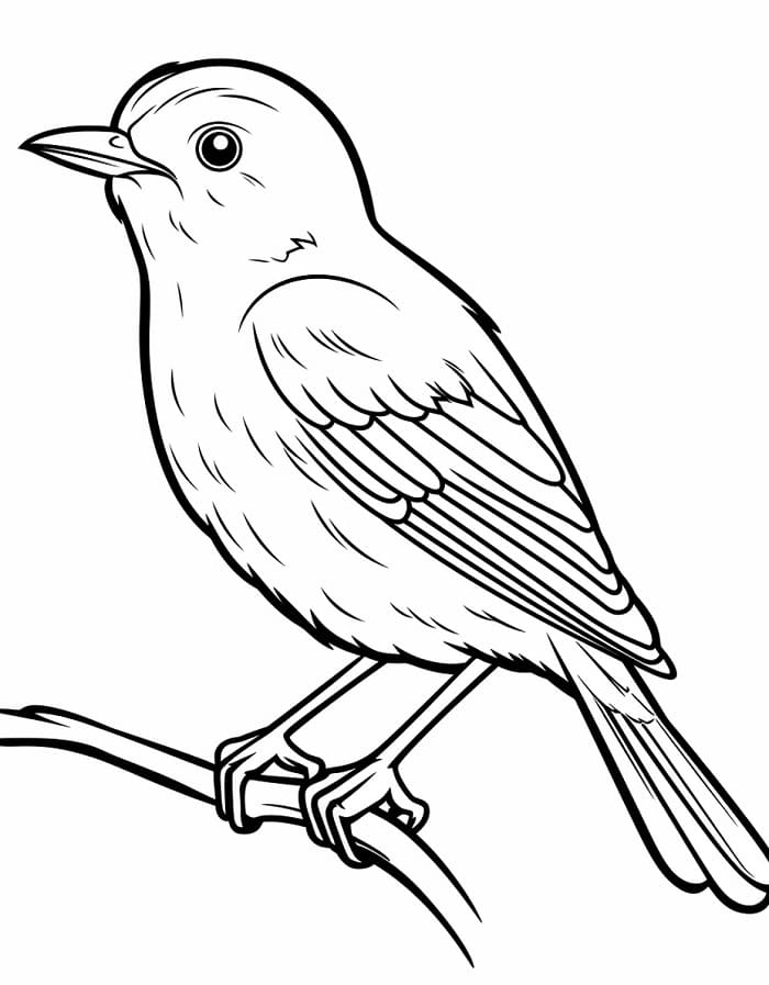 Rozkošný Pták omalovánka