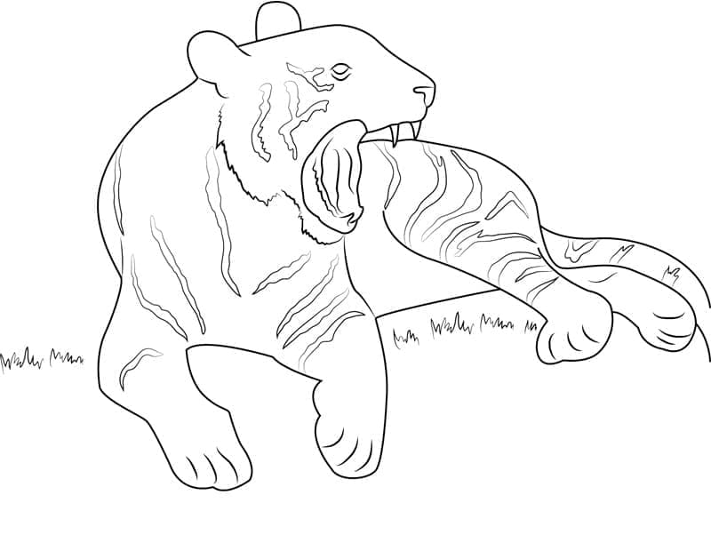 Roztomilá Tygr omalovánka