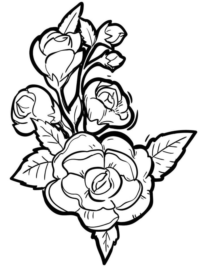 Růže Vymalovatelné pro Děti omalovánka