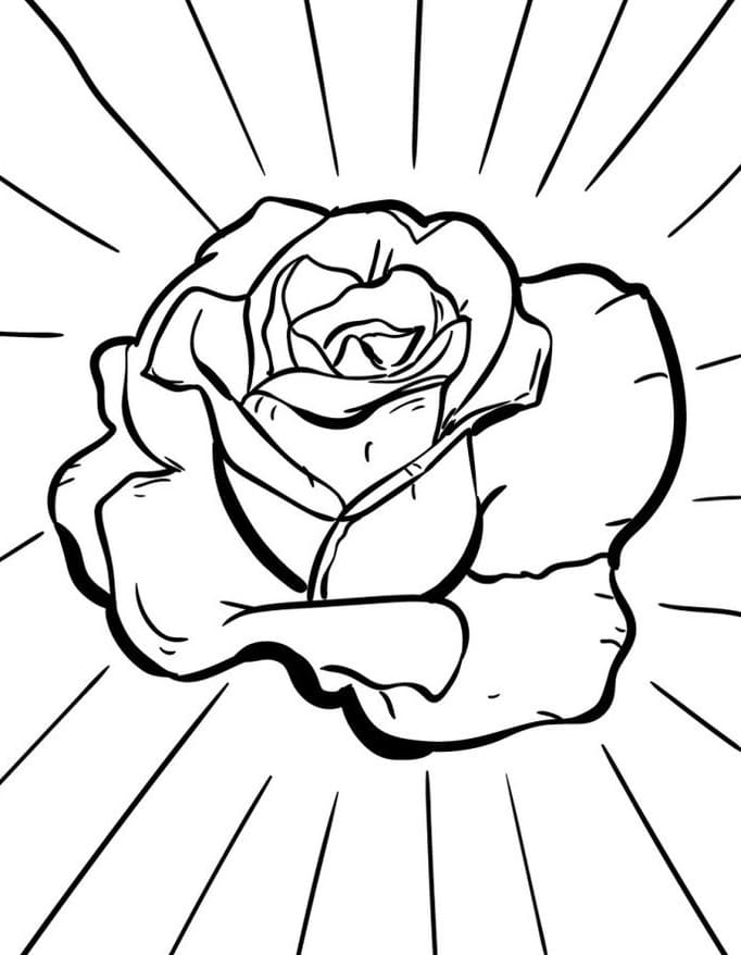 Růže pro 1leté Děti omalovánka