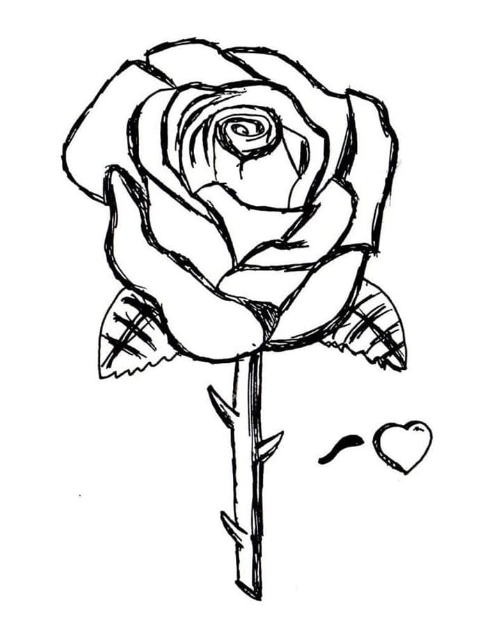 Růže pro 2leté Děti omalovánka