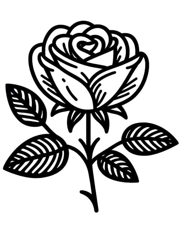 Růže pro 4leté Děti omalovánka