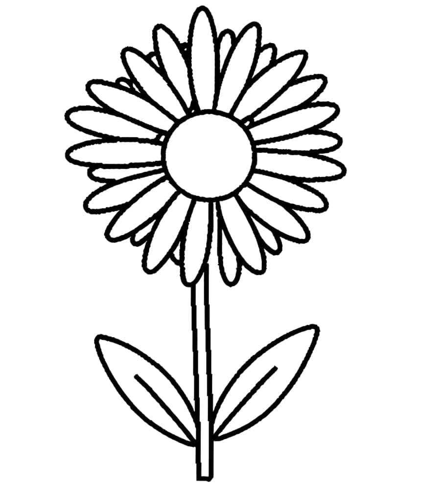 Snadná Květina omalovánka