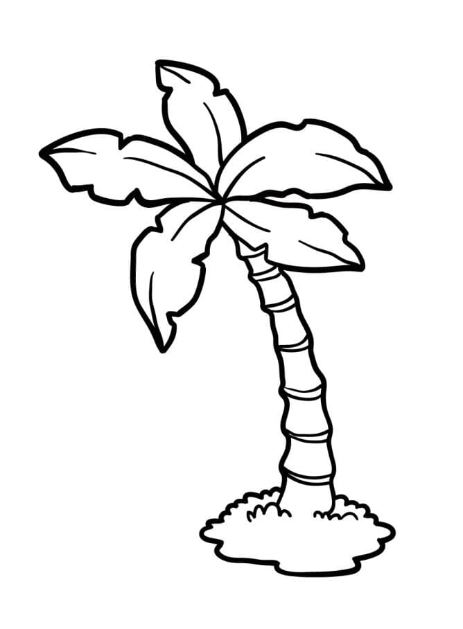 Snadná Palma omalovánka