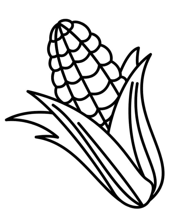 Snadná Zelenina omalovánka