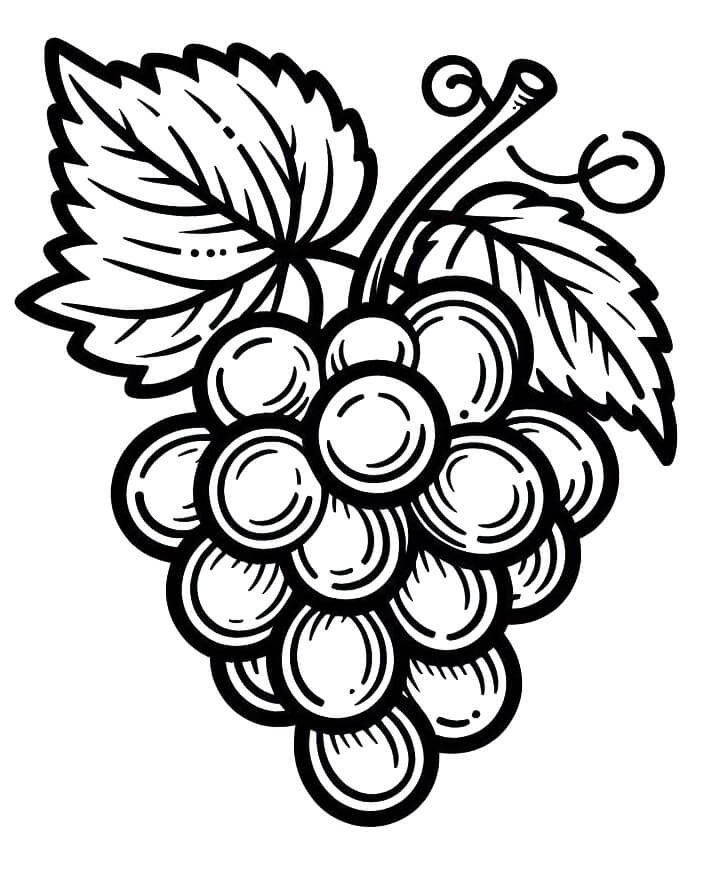 Snadné Hrozny omalovánka