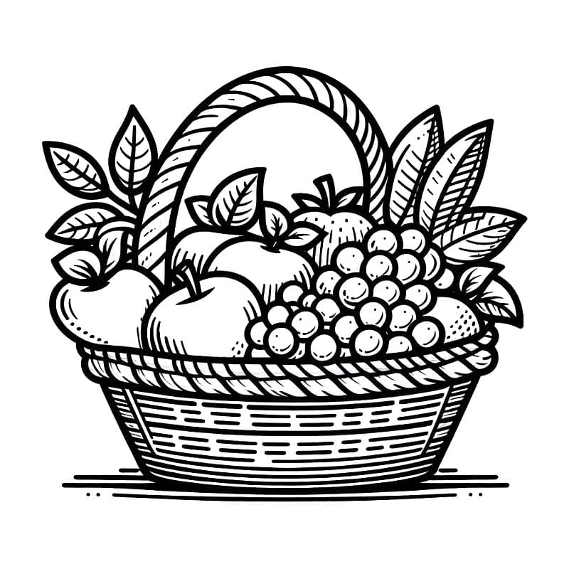 Snadný Košík s Ovocem omalovánka
