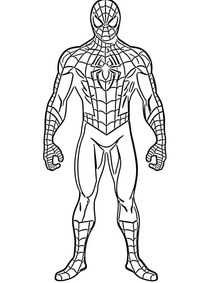 Spiderman Tisknutelný Zdarma omalovánka