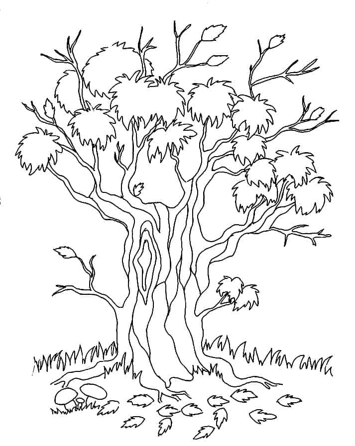 Strom Zdarma Vymalovatelné Obrázek omalovánka