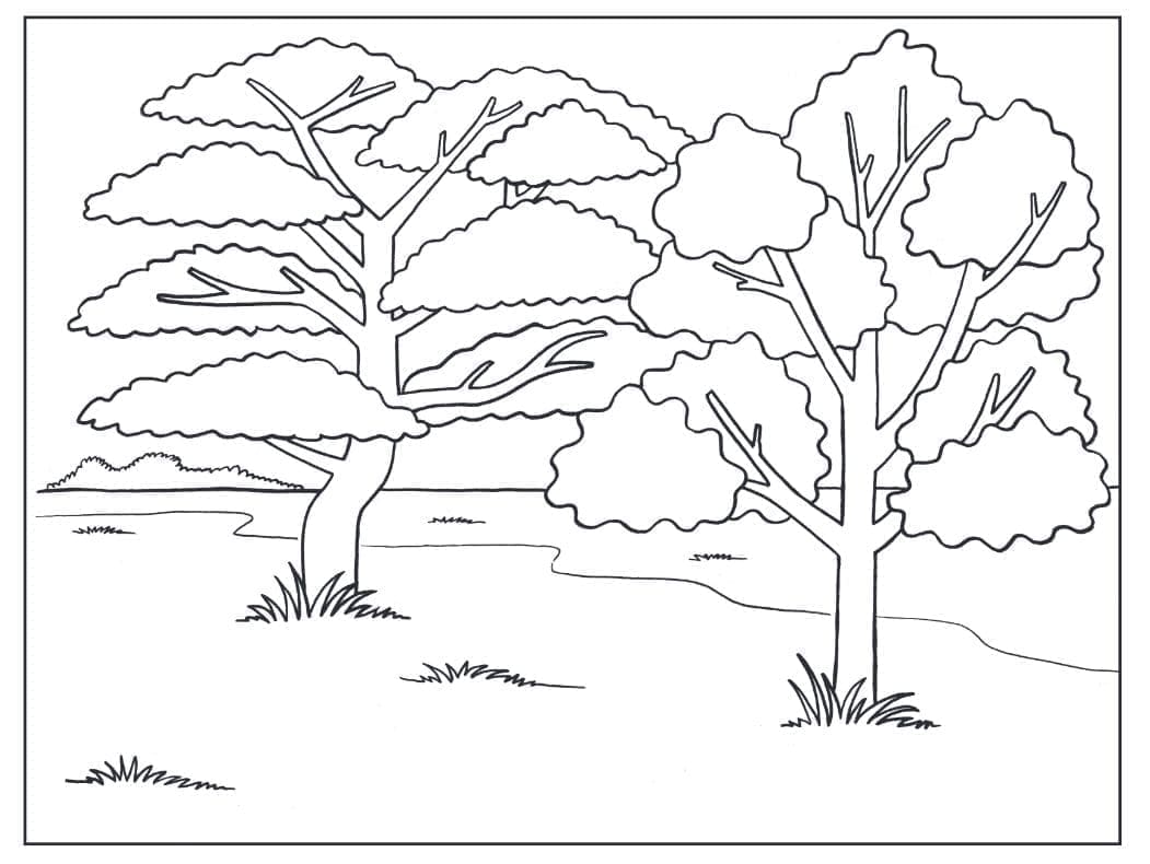 Strom pro 6leté Děti omalovánka
