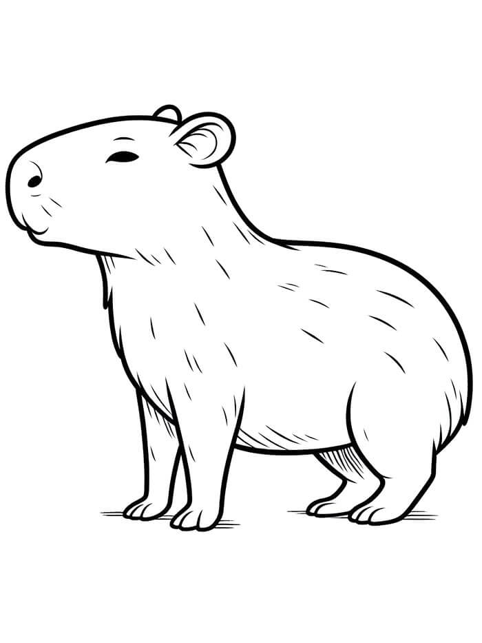 Tisk Kapybara omalovánka