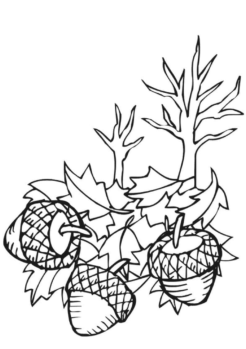 Tisk Podzim omalovánka