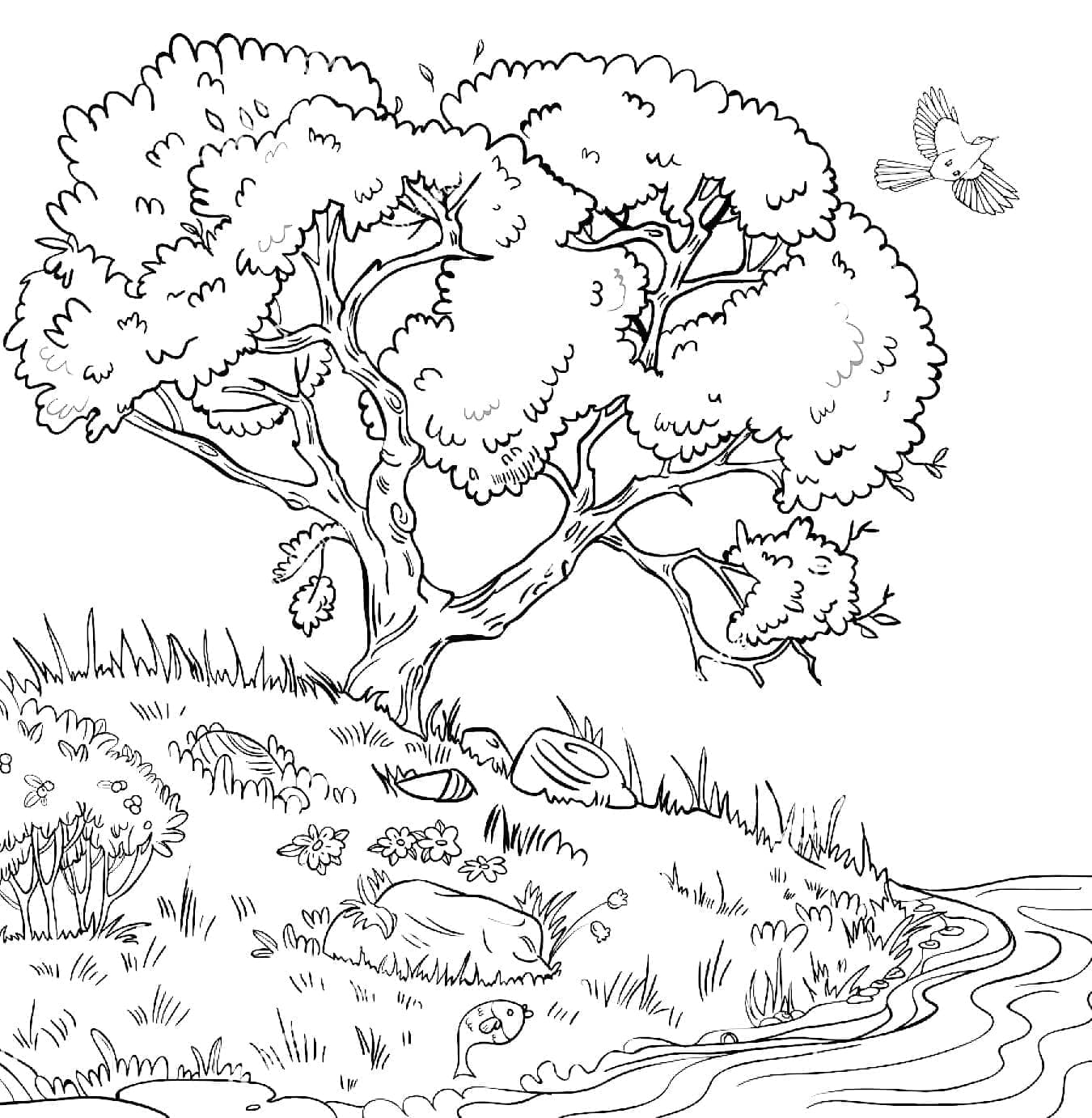 Tisk Strom omalovánka