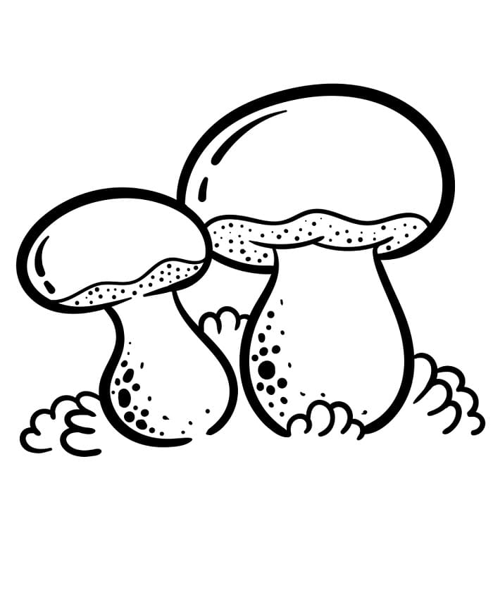 Tisknutelná Houba Obrázek omalovánka