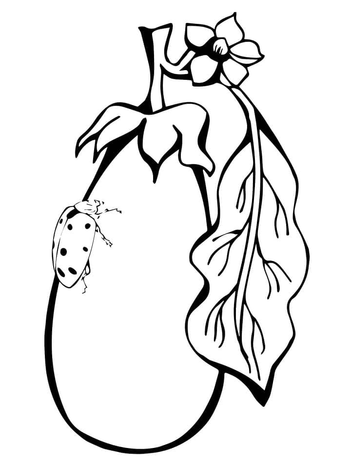 Tisknutelná Lilek Obrázek pro Děti omalovánka