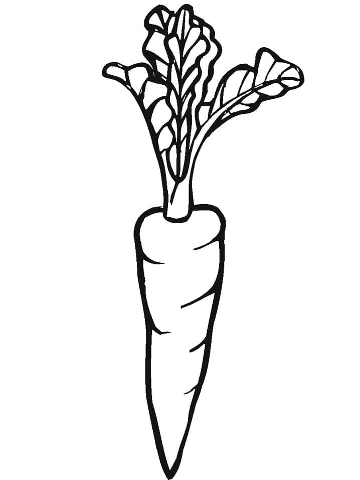 Tisknutelná Mrkev Obrázek omalovánka