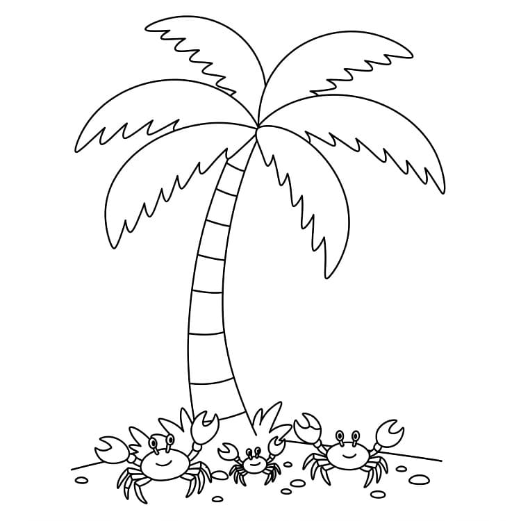 Tisknutelná Palma Obrázek pro Děti omalovánka