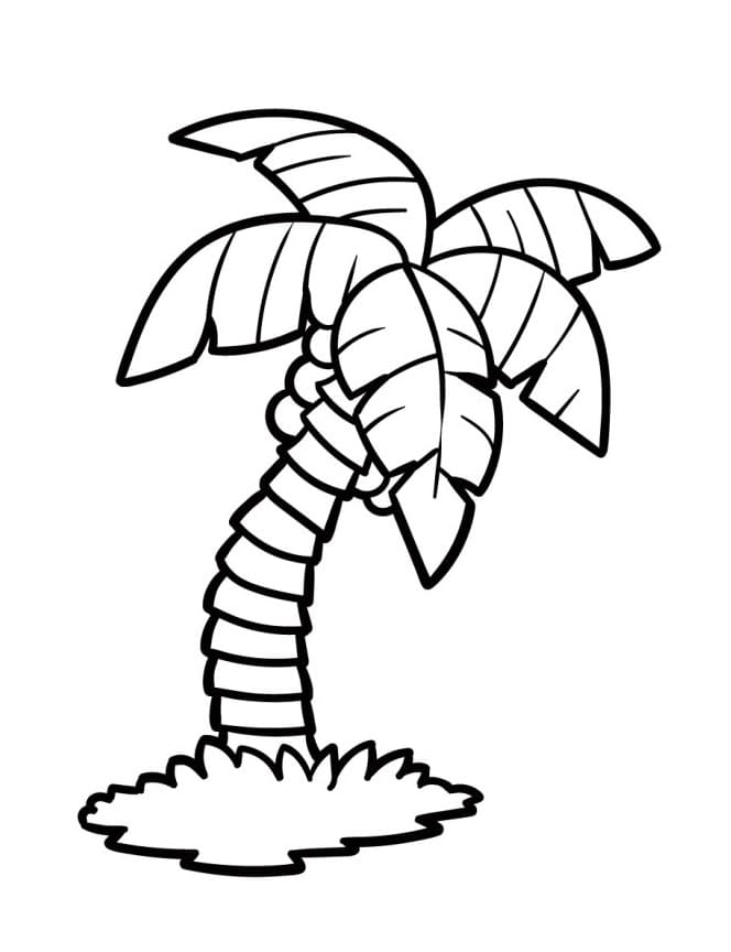 Tisknutelná Palma Obrázek omalovánka
