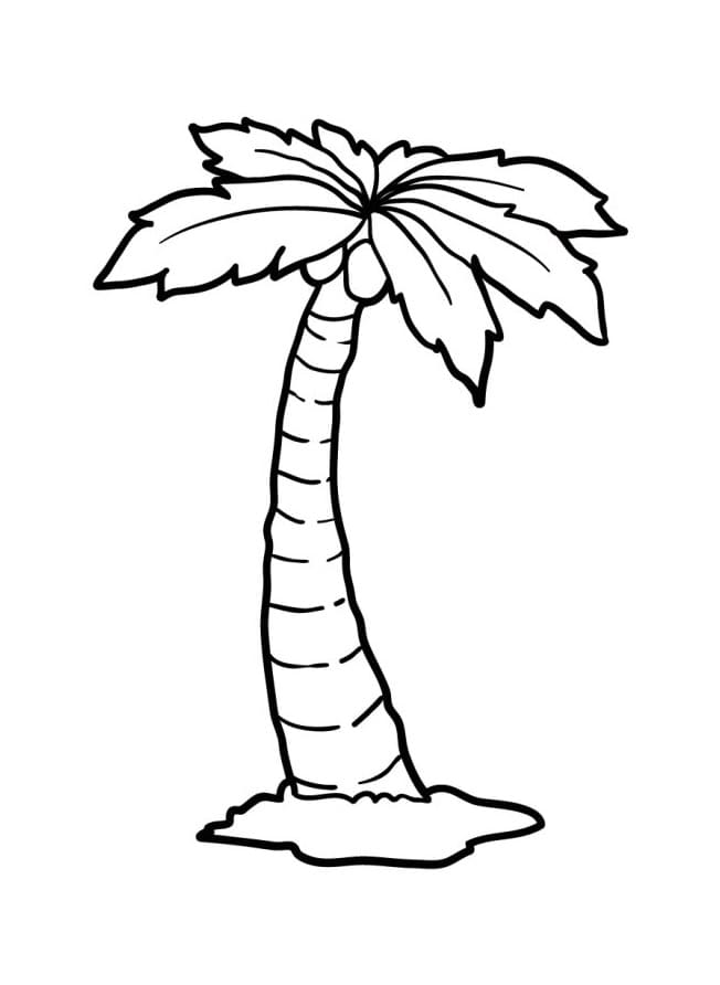 Tisknutelná Palma omalovánka
