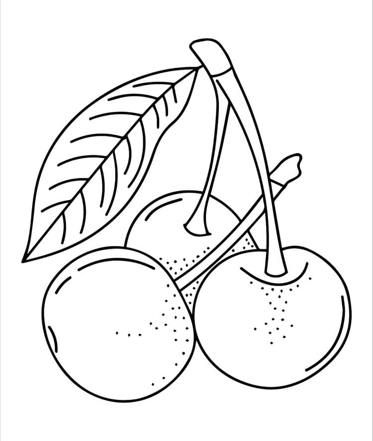 Tisknutelná Třešeň Obrázek omalovánka