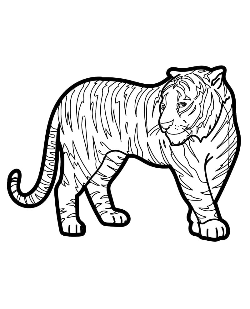 Tisknutelná Tygr Obrázek omalovánka