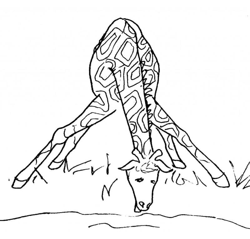 Tisknutelná Žirafa omalovánka