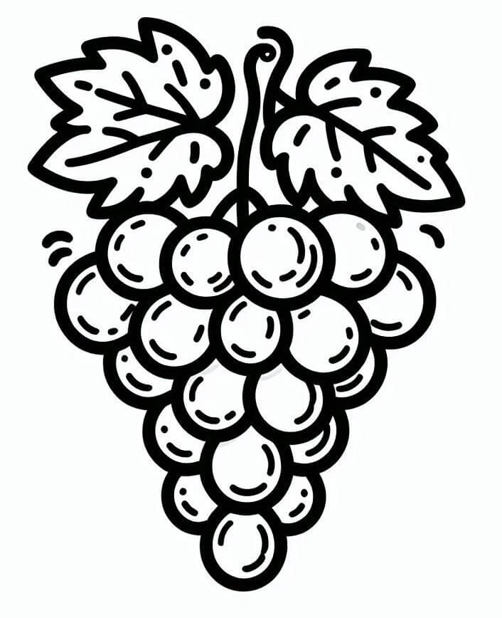 Tisknutelné Hrozny Obrázek pro Děti omalovánka