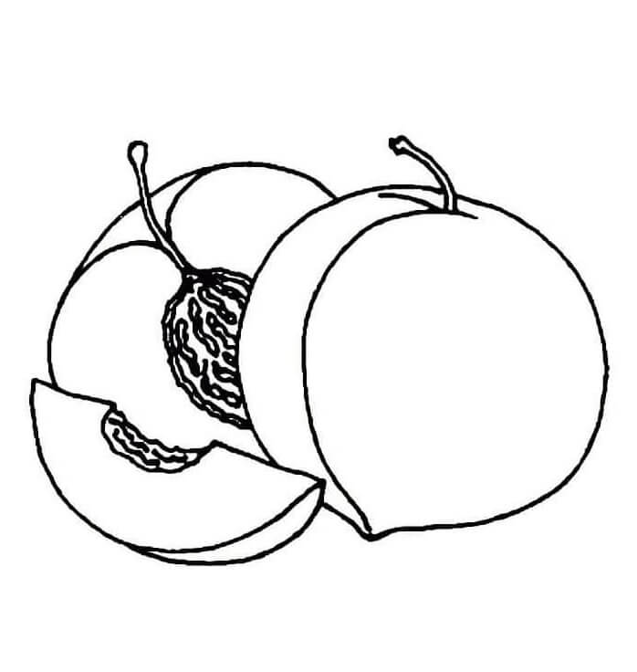 Tisknutelné Ovoce Obrázek omalovánka