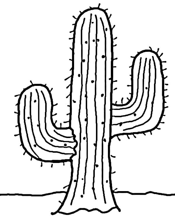 Tisknutelný Kaktus Obrázek omalovánka