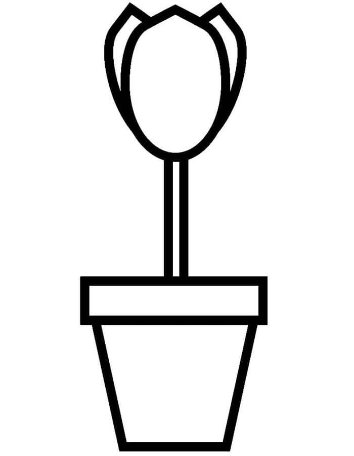 Tisknutelný Květináč omalovánka