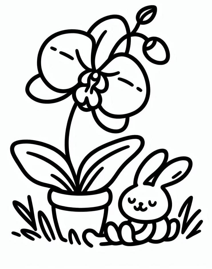 Tisknutelný Orchidej omalovánka