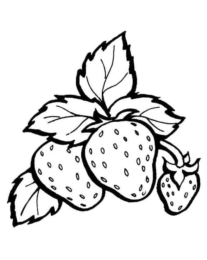 Tisknutelný Zdarma Jahoda omalovánka