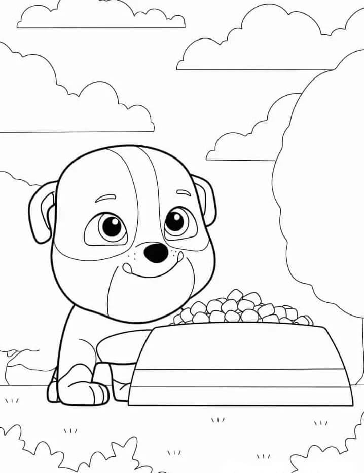 Tlapková Patrola Zdarama omalovánka