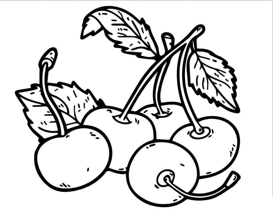 Třešně omalovánky