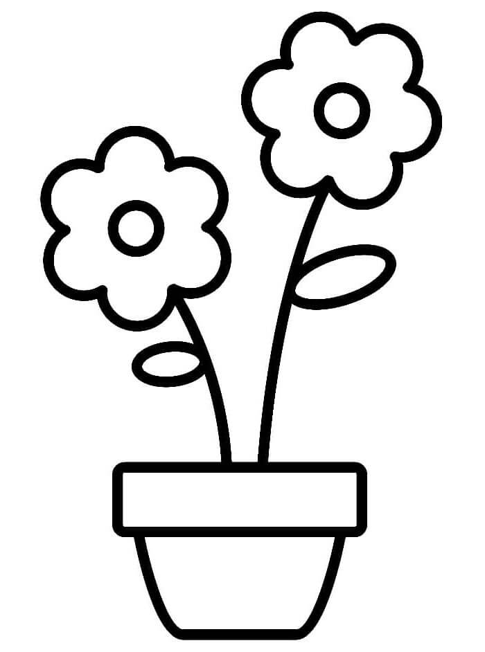 Úžasný Květináč omalovánka