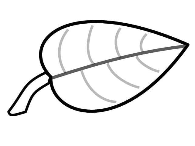 Úžasný List omalovánka