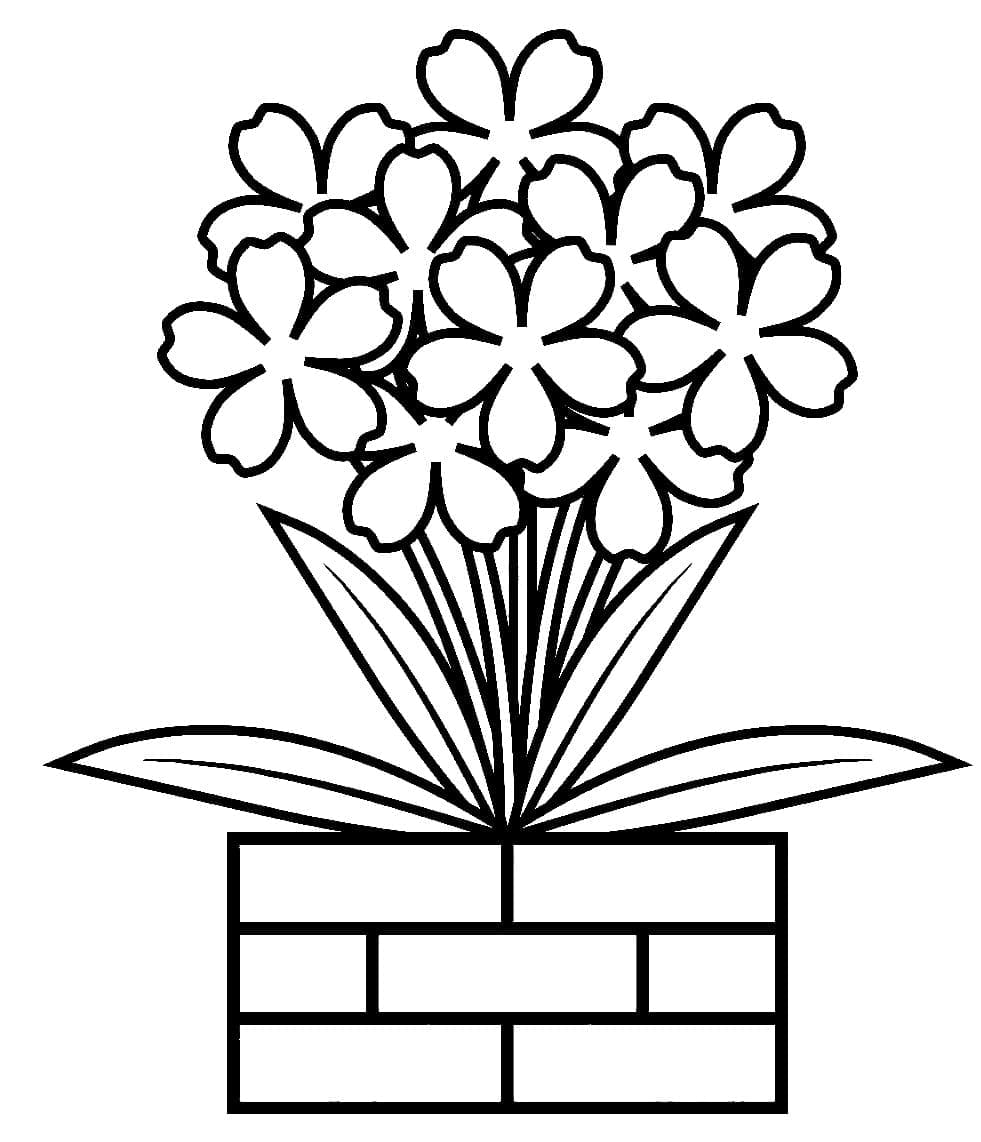 Váza s květinami (18) omalovánka