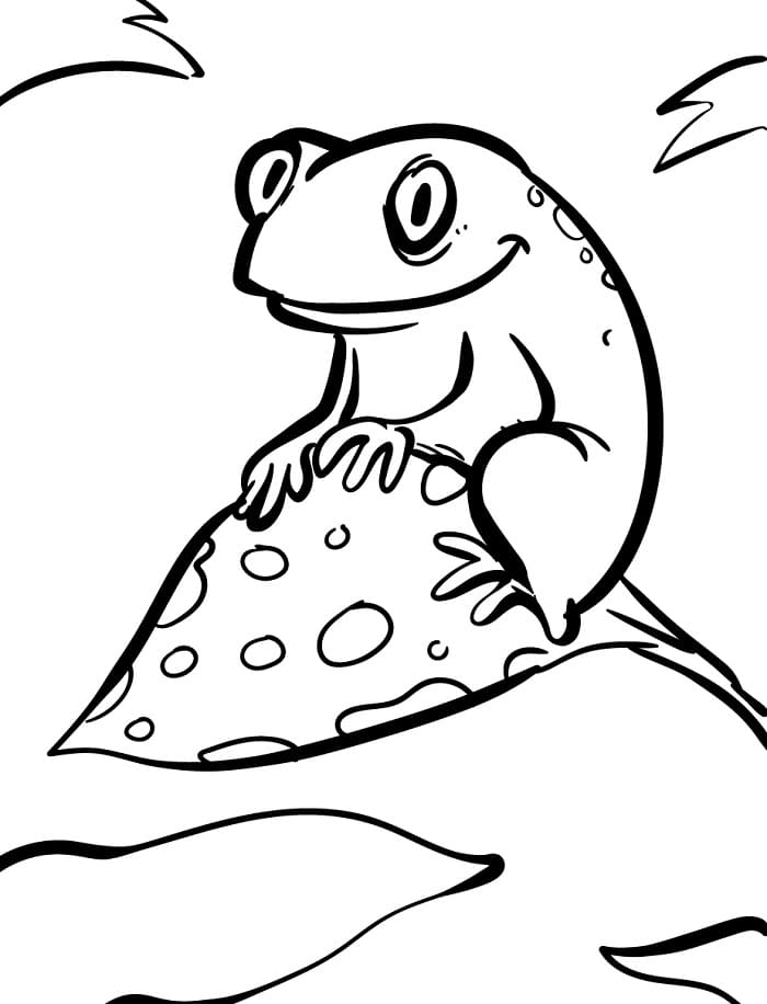 Veselá Žába omalovánka