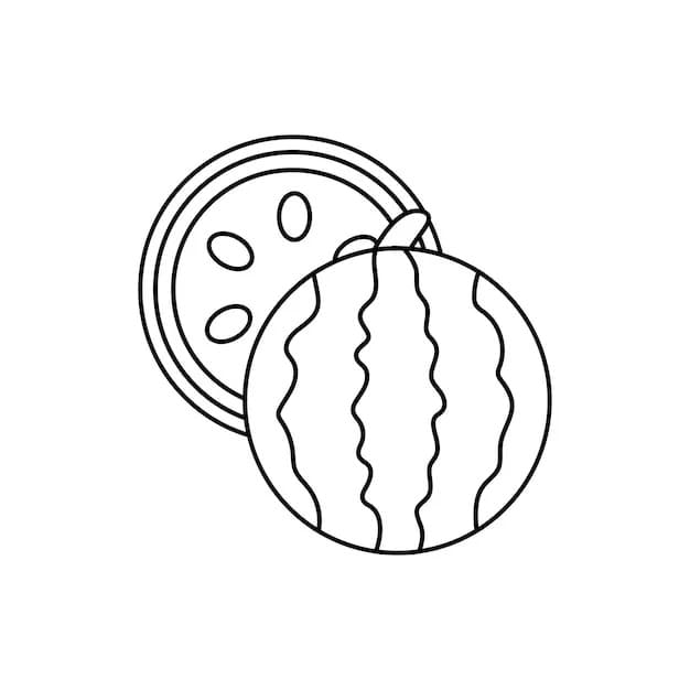 Vodní meloun Ovoce omalovánka