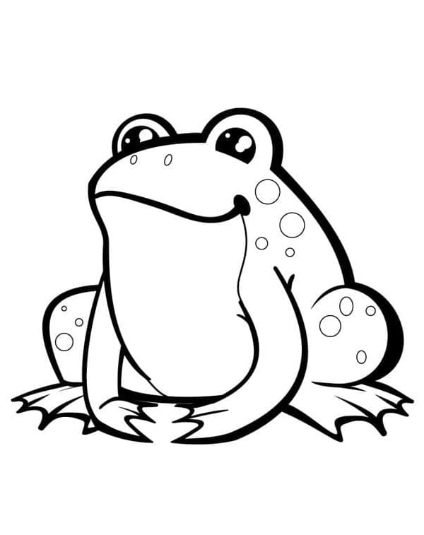 Žába Vymalovatelné pro Děti omalovánka