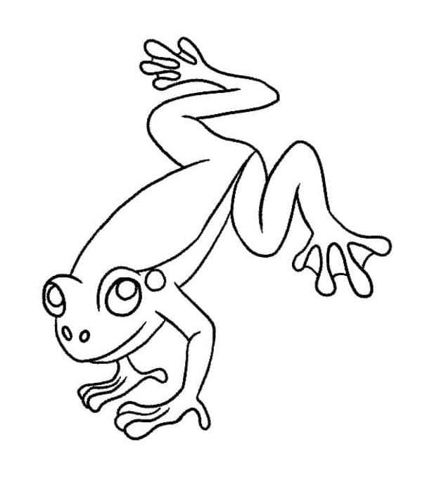 Žába pro 2leté Děti omalovánka