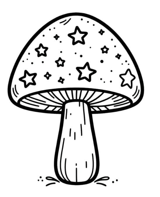 Základní Houba omalovánka