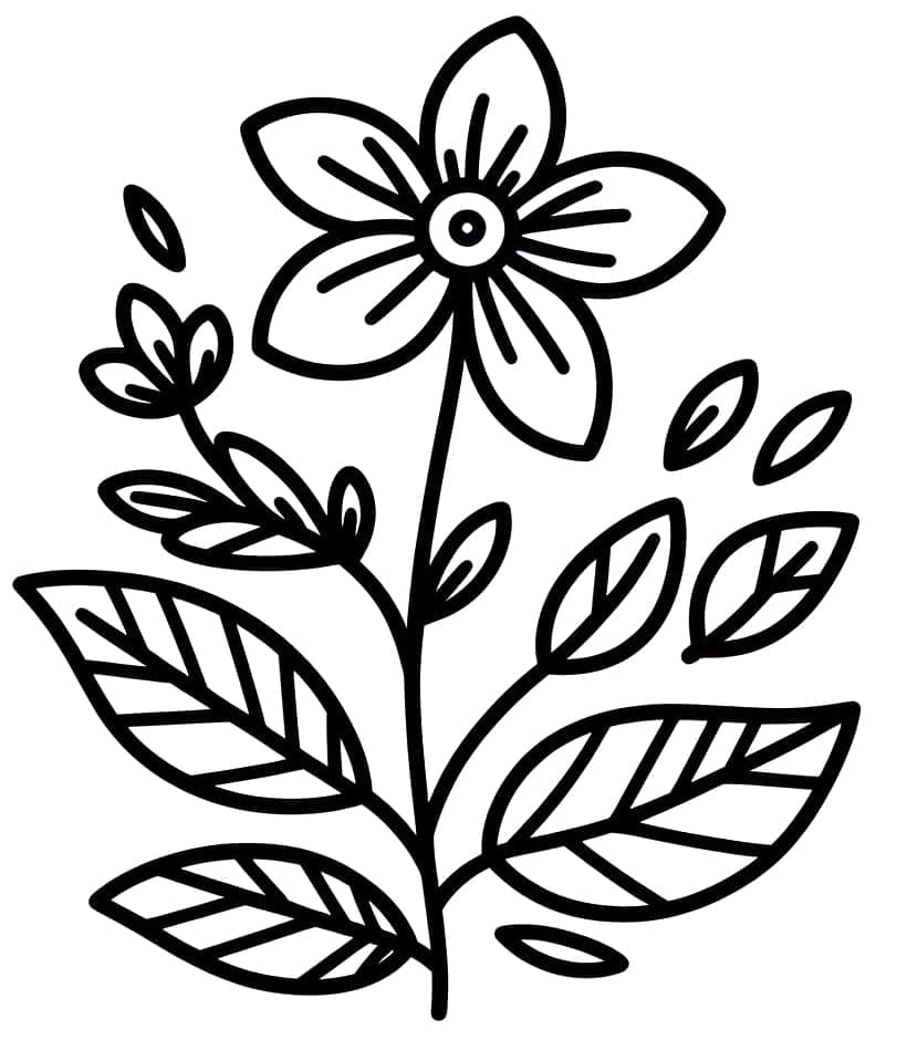 Základní Květina omalovánka
