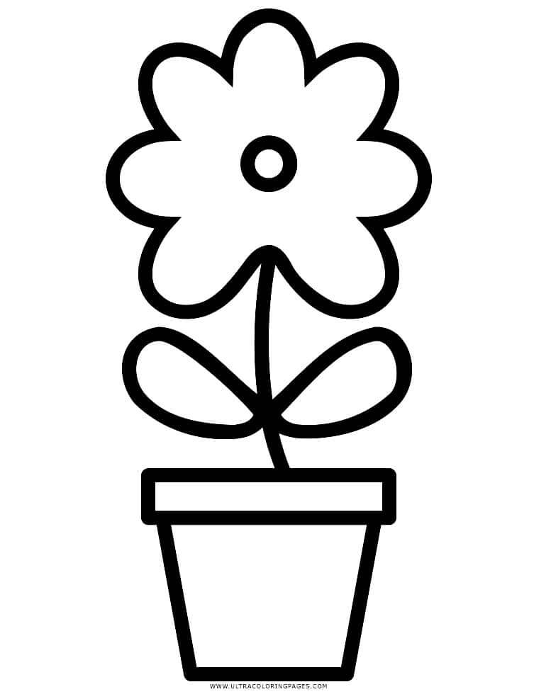 Základní Květináč omalovánka