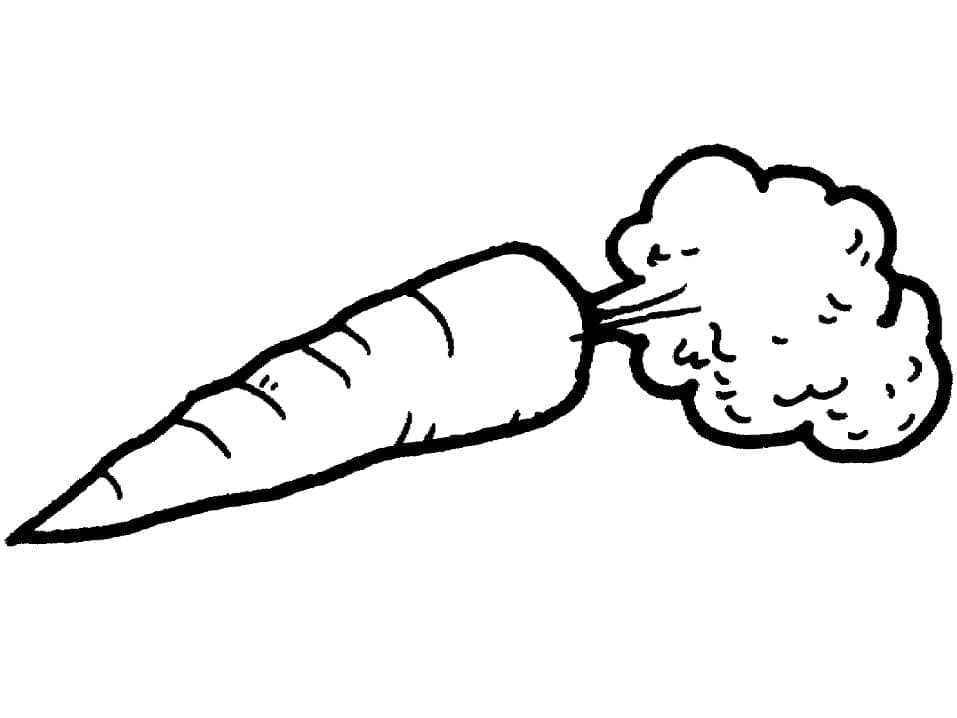 Základní Mrkev omalovánka