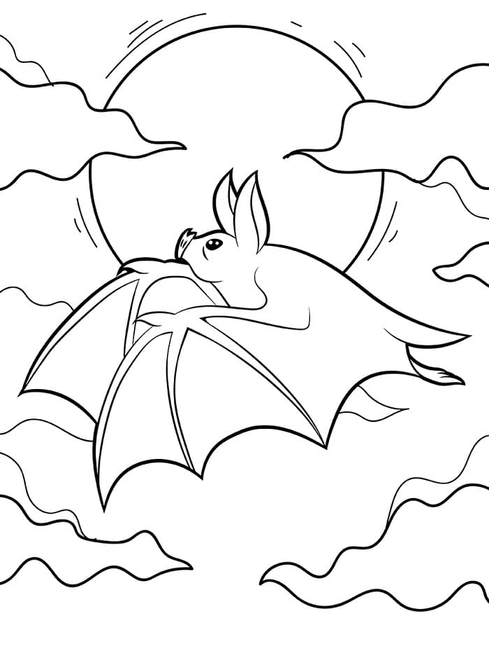 Základní Netopýr omalovánka